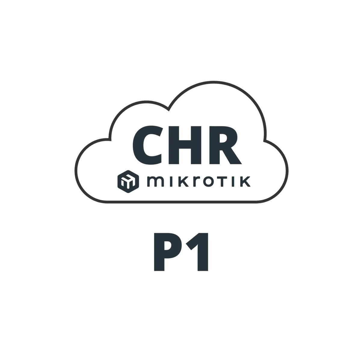 MikroTik Cloud Hosted Router P1 Perpetual 1Gbps Upload Per Interface [ — Baltic Networks