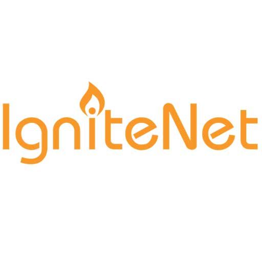IgniteNet Replacement 48V Passive PoE Injector